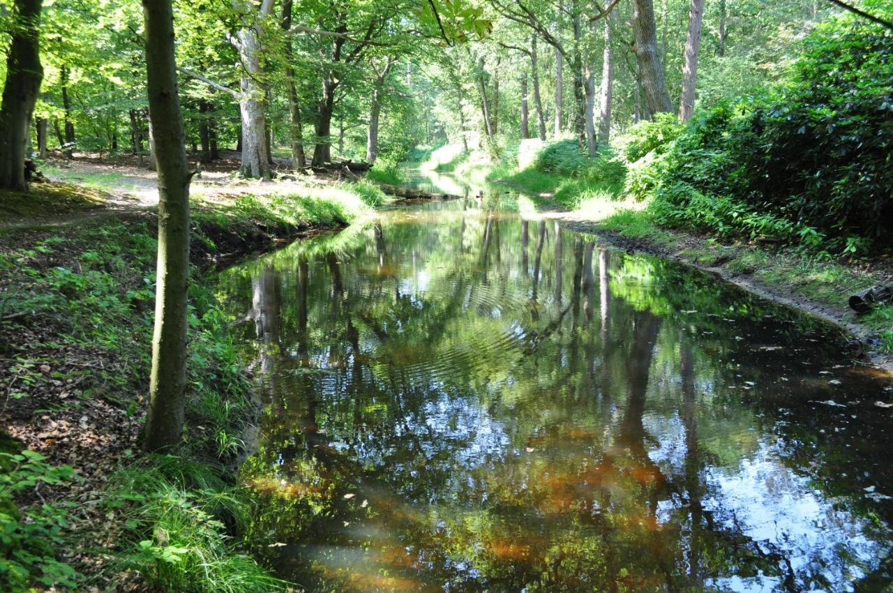 Gasterij Leyduin Villa Vogelenzang Dış mekan fotoğraf