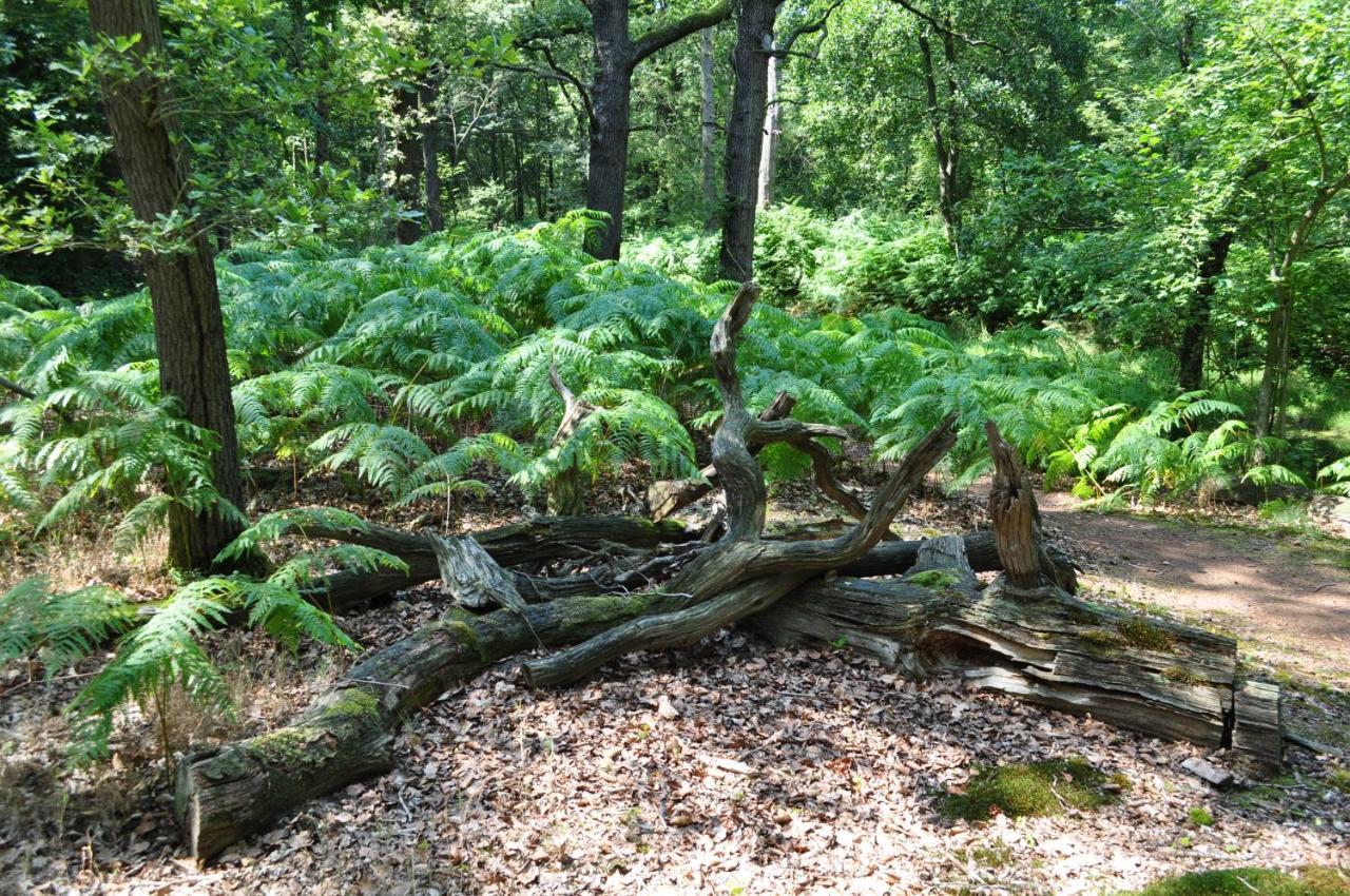 Gasterij Leyduin Villa Vogelenzang Dış mekan fotoğraf
